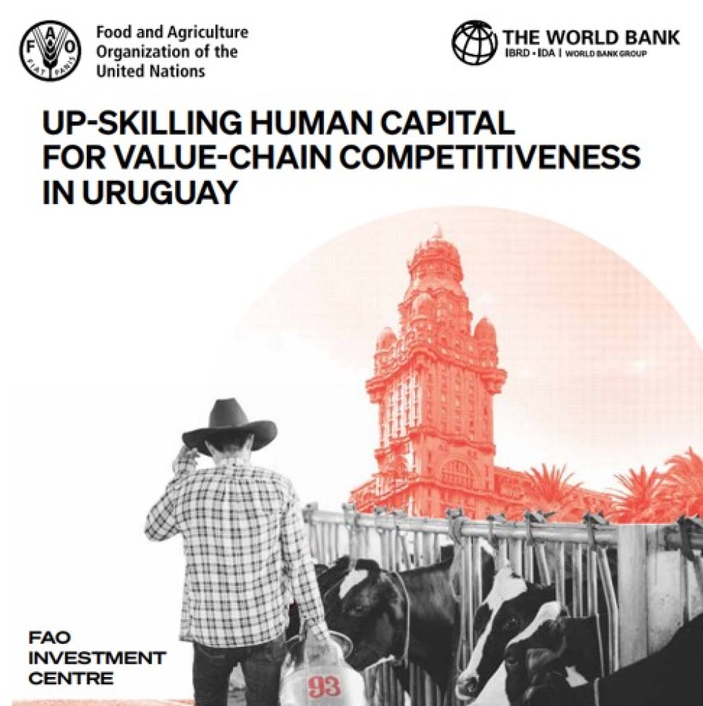 Mejorar las Habilidades del Capital Humano para la Competitividad de las Cadenas de Valor en el Uruguay