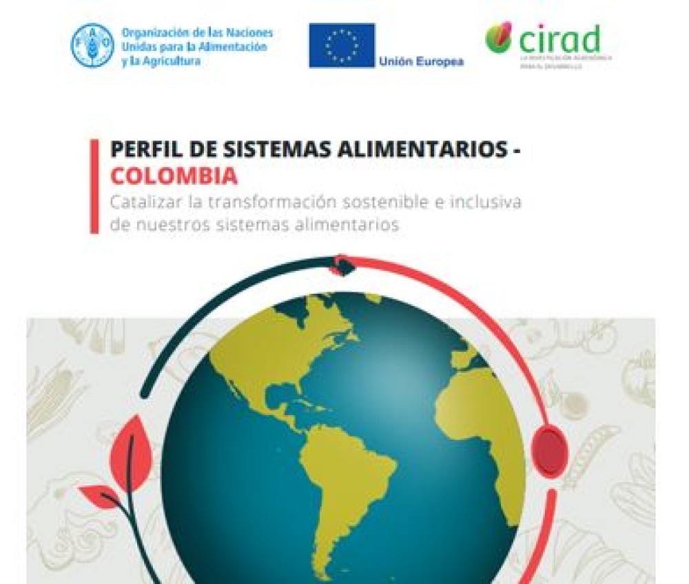 Perfil de sistemas alimentarios - Colombia