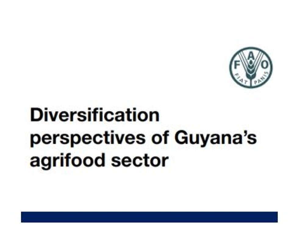 Perspectivas de Diversificación del Sector Agroalimentario de Guyana