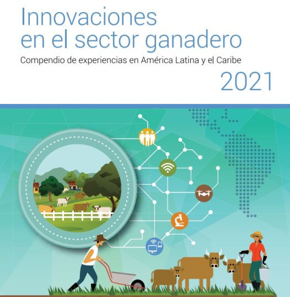 (ES) Empleo Juvenil a través de Agronegocios y Desarrollo de Cadenas de Valor