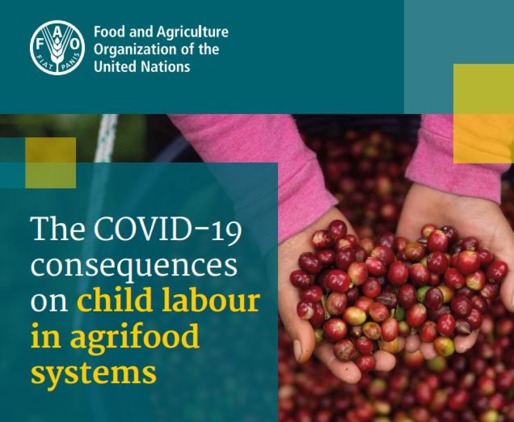 The COVID-19 Consequences on Child Labour in Agrifood Systems