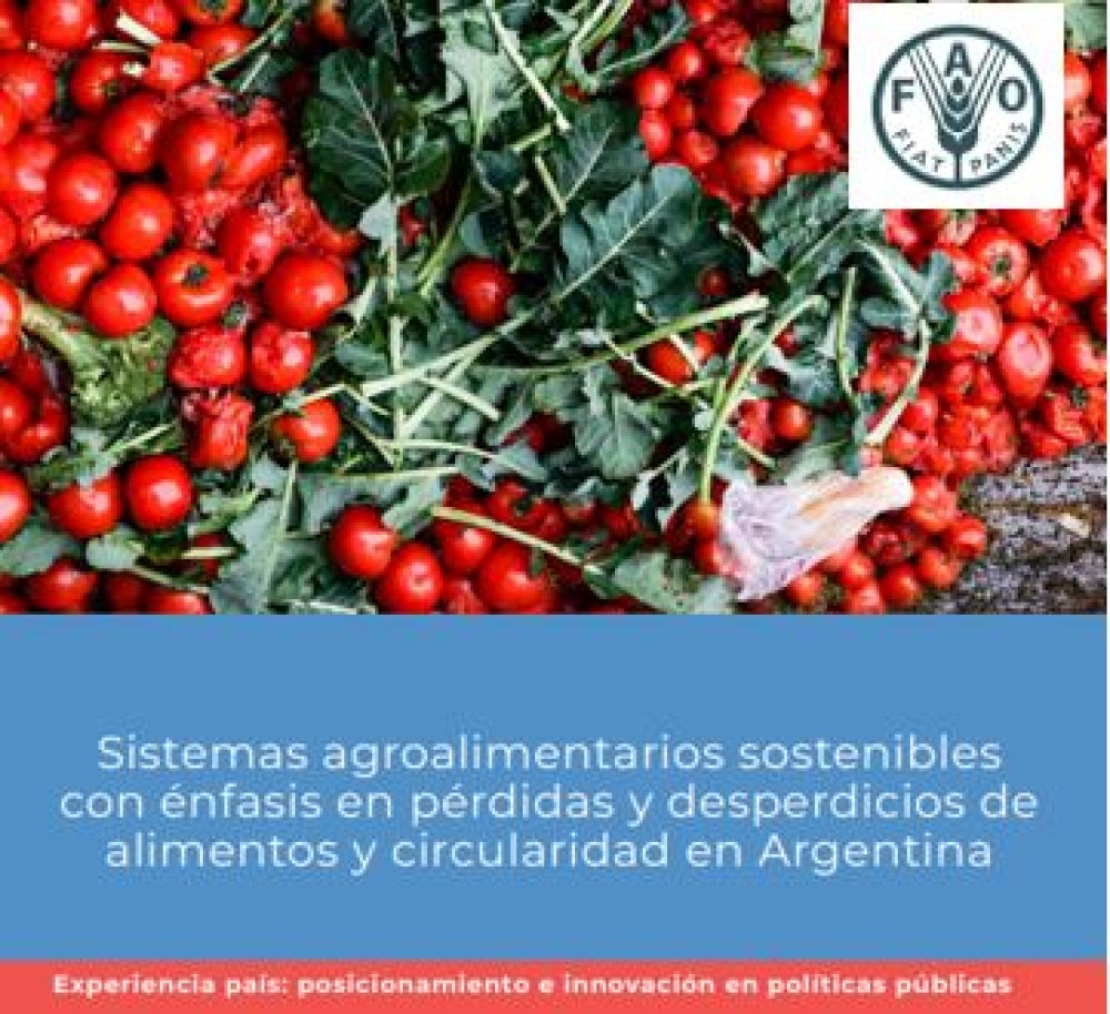 Sistemas Agroalimentarios Sostenibles con énfasis en Pérdidas y Desperdicios de Alimentos y Circularidad en Argentina