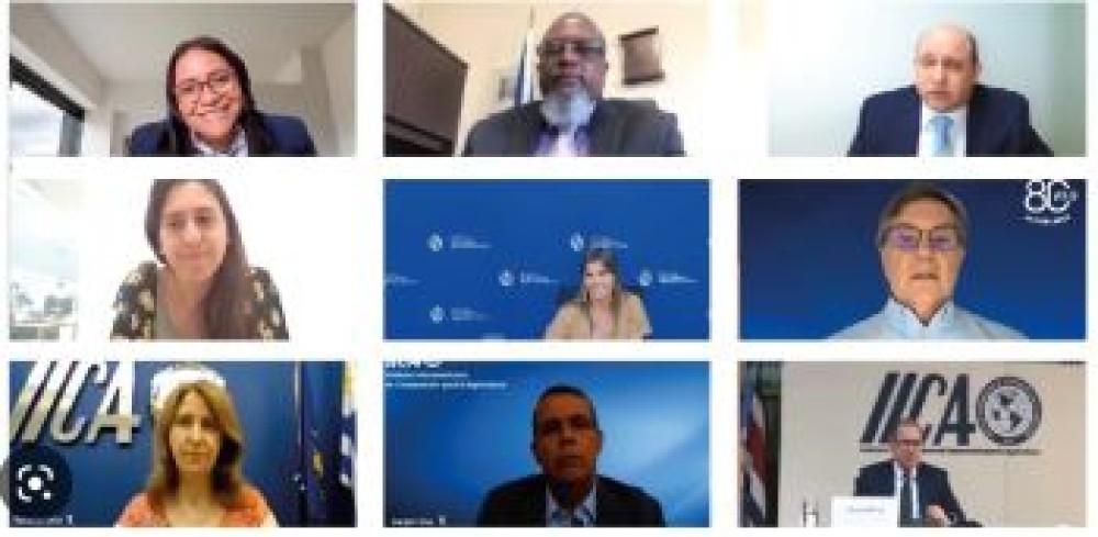 Presentation: Rural connectivity in Latin America and the Caribbean - state of the art, challenges and actions for digitalization and sustainable development