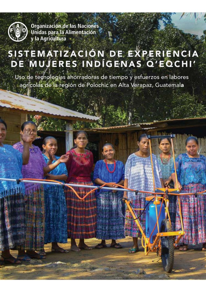 (ES) Sistematización de experiencia de mujeres indígenas q’eqchi’.