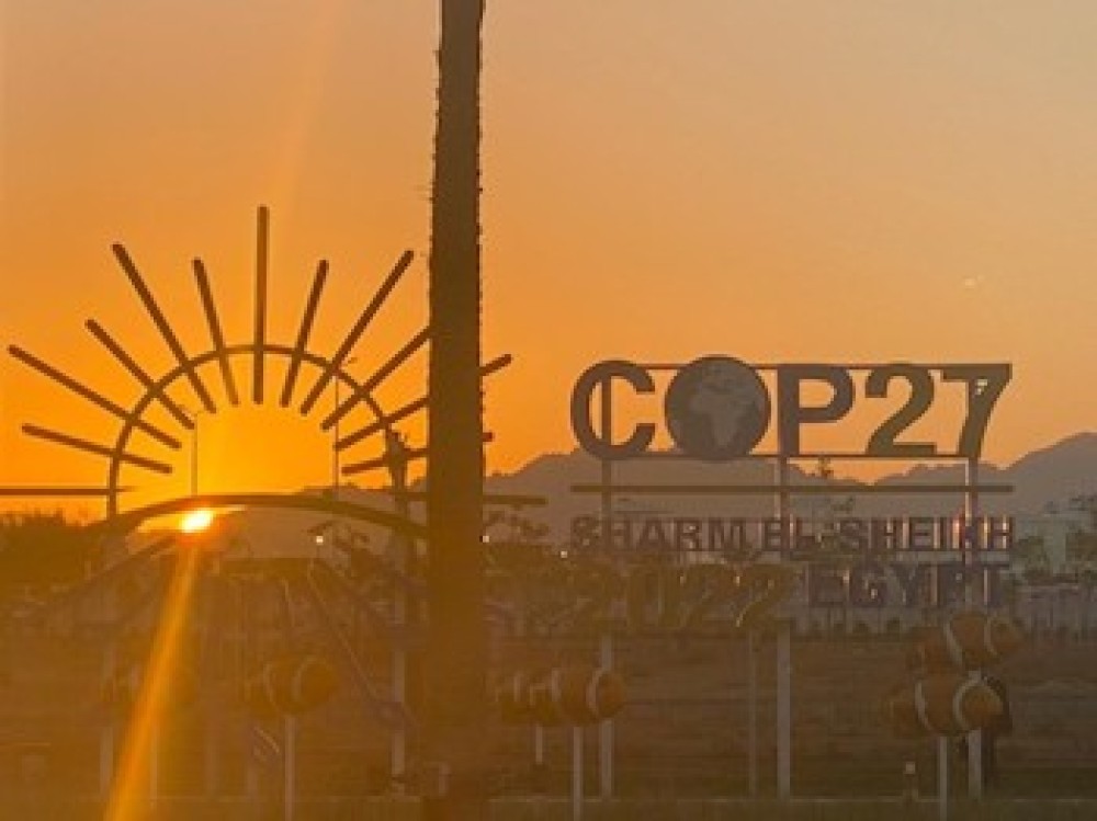 (ES) COP27: Roles crecientes para la agricultura y la seguridad alimentaria