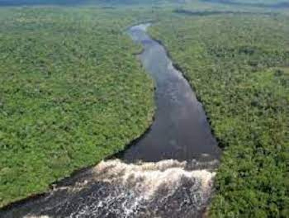 (ES) Alemania asigna R$192 millión al Fondo Amazonia en paquete de R$1,1 billión a Brasil
