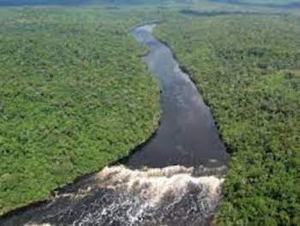 Alemania asigna R$192 millión al Fondo Amazonia en paquete de R$1,1 billión a Brasil