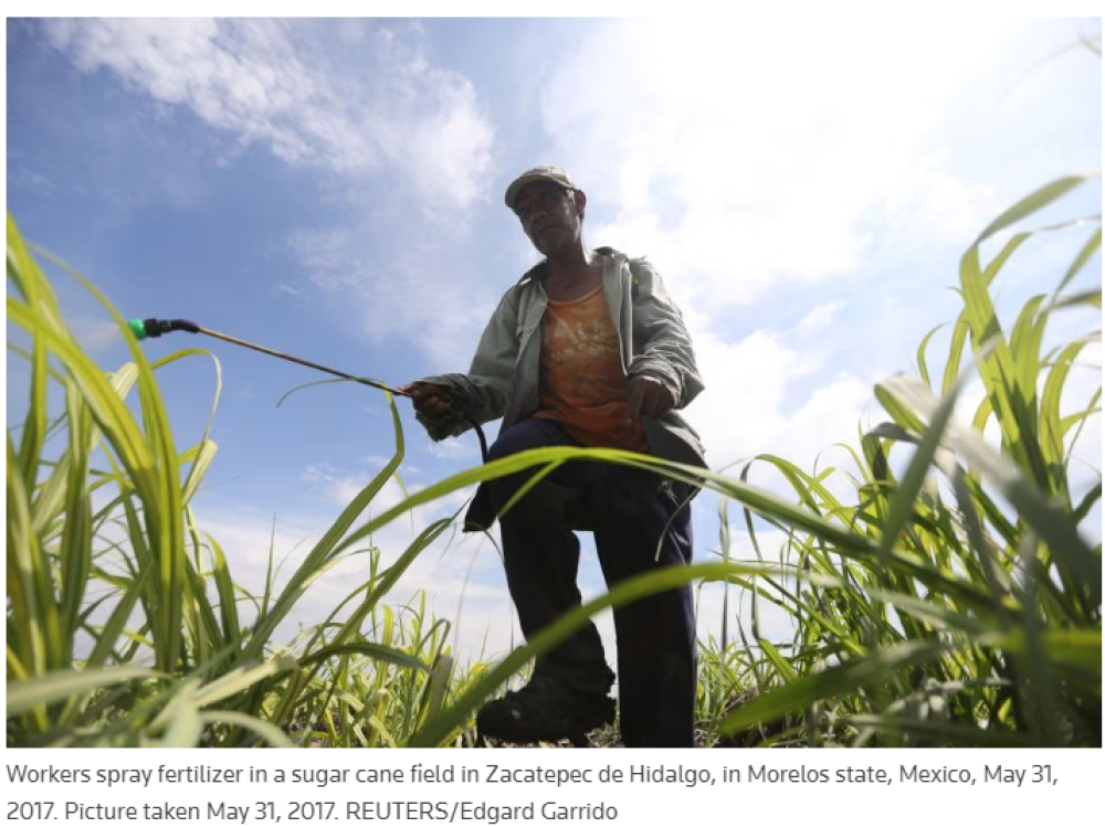 Fertilizer makers in for another slow quarter as demand wilts