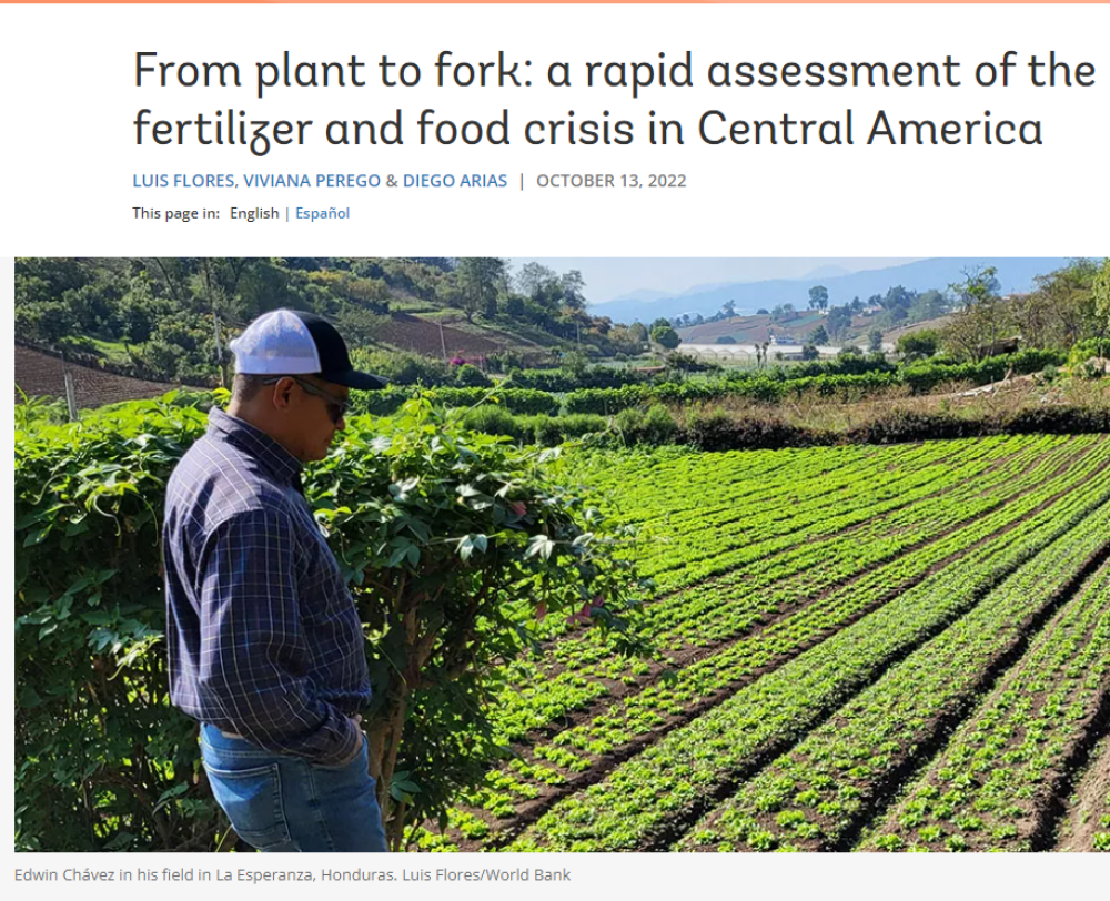 De la planta al tenedor: una evaluación rápida de la crisis de fertilizantes y alimentos en Centroamérica