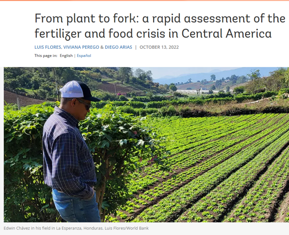 From plant to fork: a rapid assessment of the fertilizer and food crisis in Central America