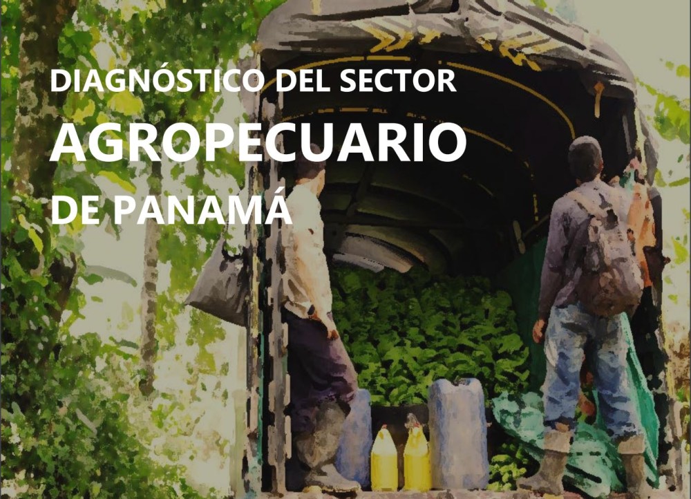 Diagnosis of the Agricultural Sector of Panama 2010-2019
