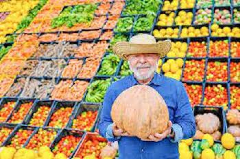 Gobierno brasileño restablece Programa de Adquisición de Alimentos