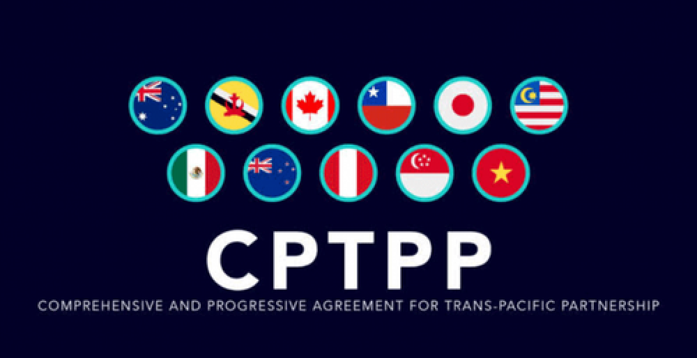 Chile y la entrada en vigor del CPTPP (ES)