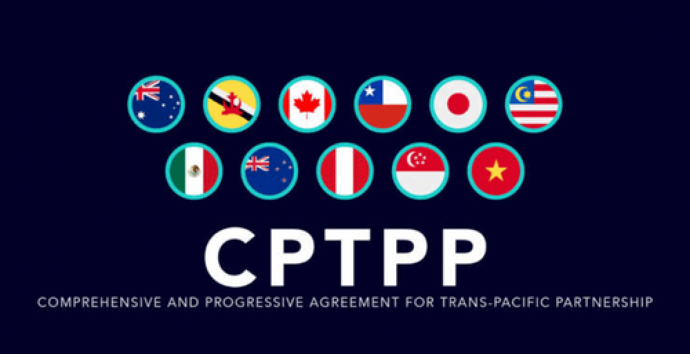Chile and the entry into force of the CPTPP (ES)