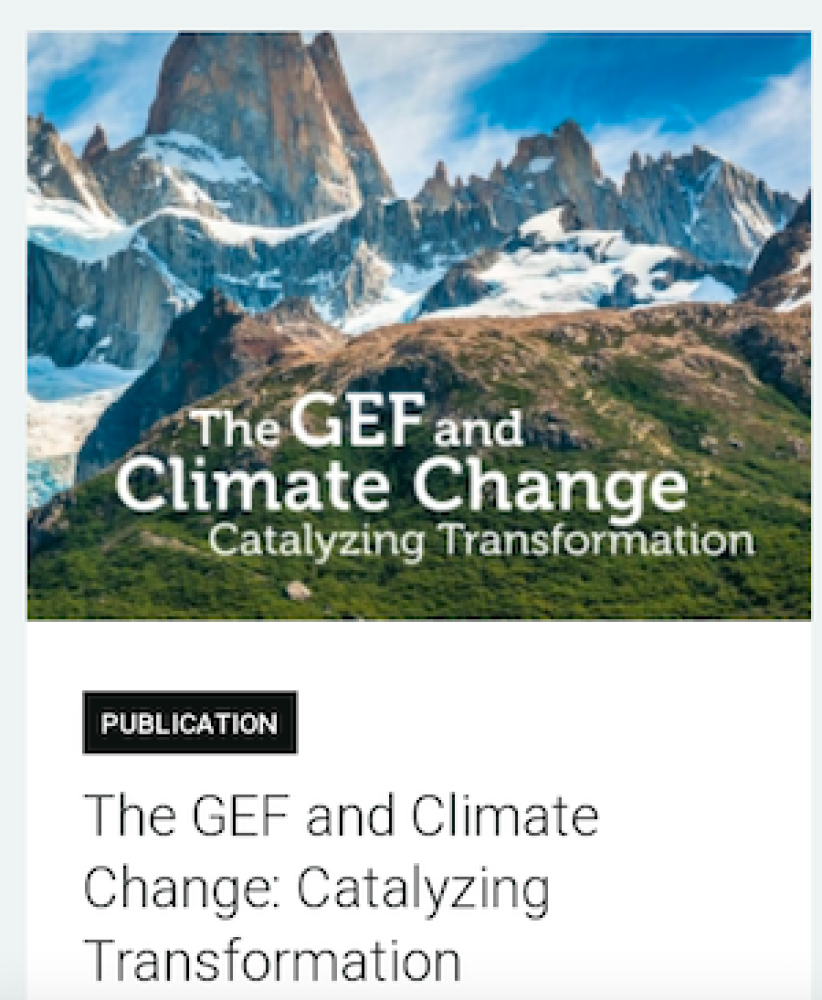 The GEF and Climate Change: Catalyzing Transformation