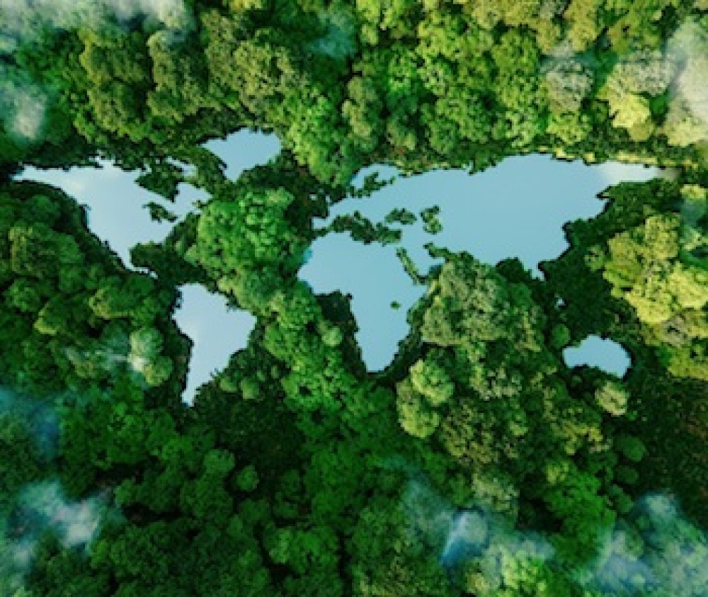 UNCTAD database of trade statistics on biodiversity-based products