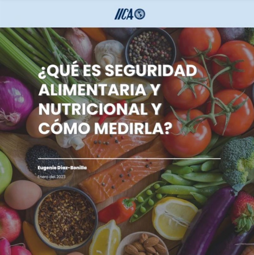 ¿Qué es seguridad alimentaria y nutricional y cómo medirla?