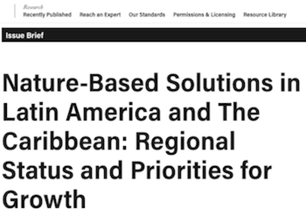 Soluciones basadas en la naturaleza en América Latina y el Caribe: estado regional y prioridades para el crecimiento