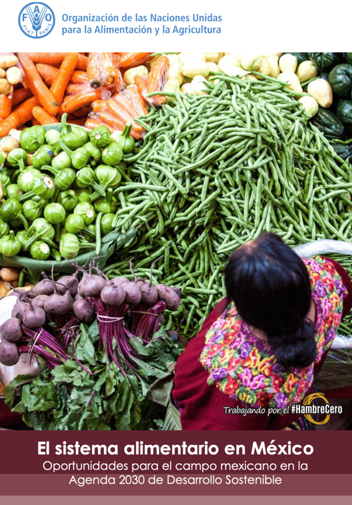 El sistema alimentario en México. Oportunidades para el campo mexicano en la Agenda 2030 de Desarrollo Sostenible