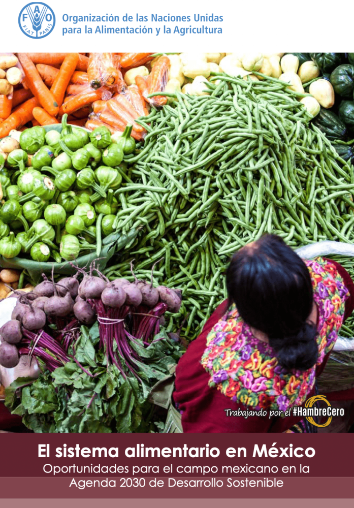 The food system in Mexico. Opportunities for the Mexican countryside in the 2030 Agenda for Sustainable Development.