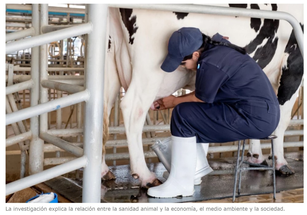 Un informe destaca la importancia de la sanidad animal para la sostenibilidad y economía mundial