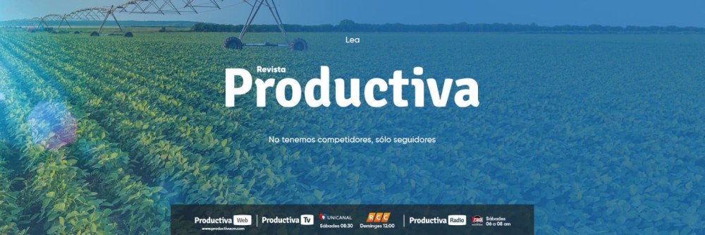 Roadmap for building a national bioeconomy strategy in Paraguay