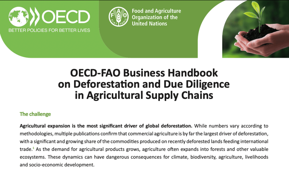 Manual de negocios OCDE-FAO sobre deforestación y diligencia debida en las cadenas de suministro agrícolas