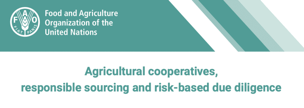Agricultural cooperatives, responsible sourcing and risk-based due diligence
