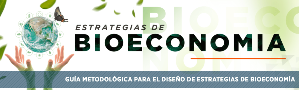 Methodological Guide for the Design of Bioeconomy Strategies