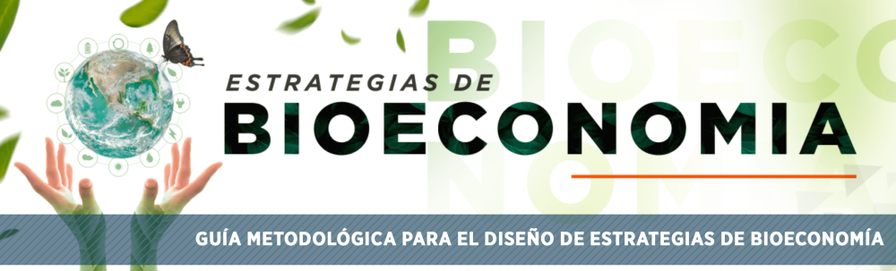 Guía Metodológica para el Diseño de Estrategias de Bioeconomía