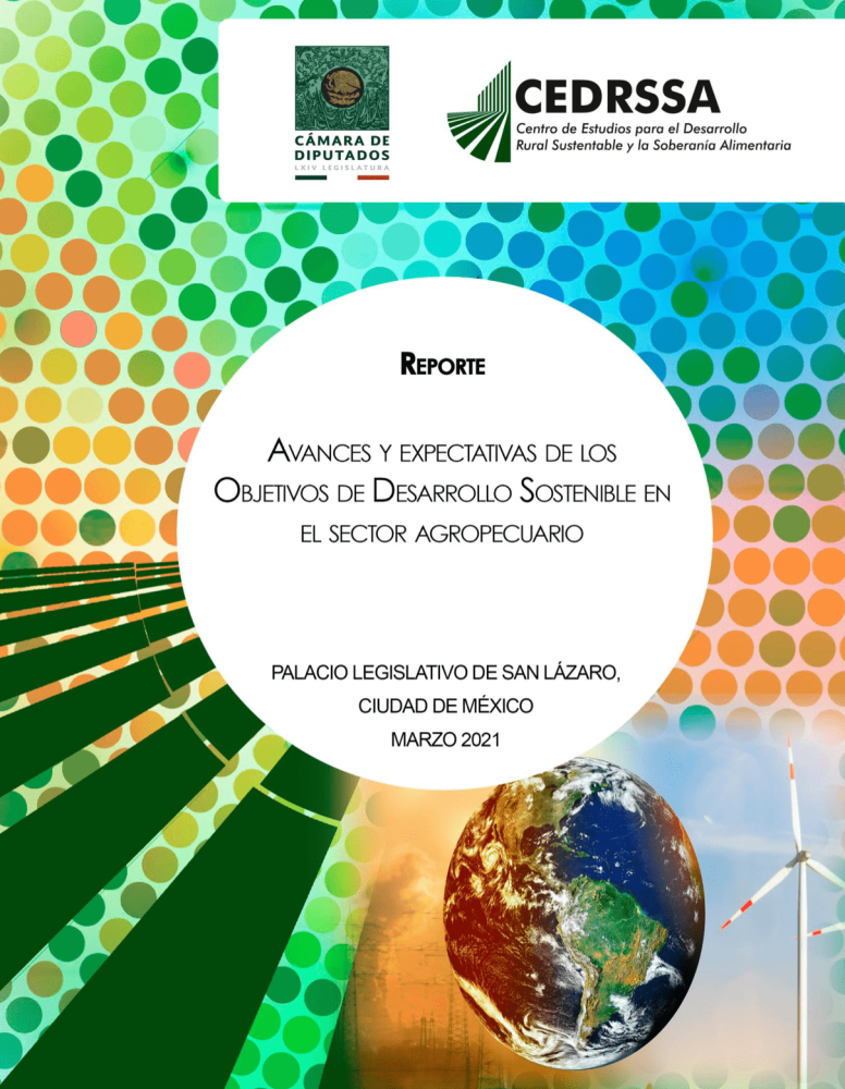 Progress and Expectations of the Sustainable Development Goals in the Mexican Agricultural Sector