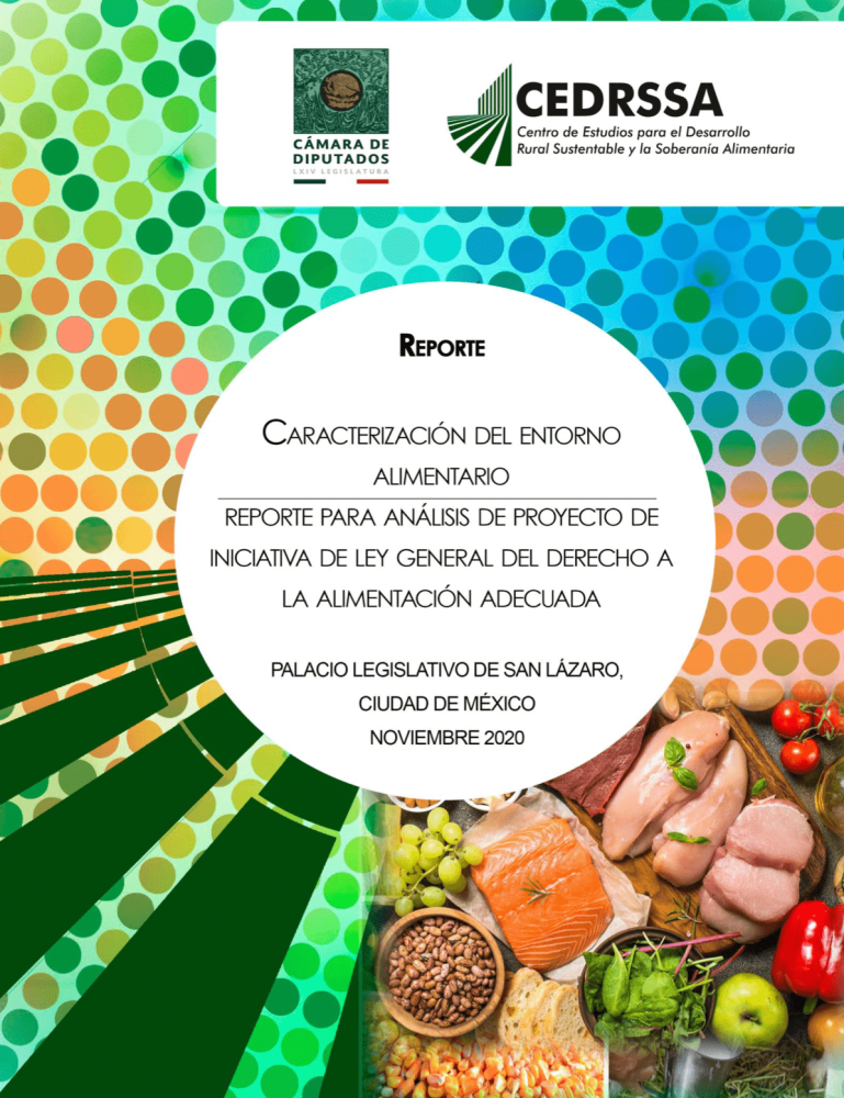 Characterization of the Mexican food environment. Report for the analysis of the draft initiative of the General Law on the Right to Adequate Food in Mexico.