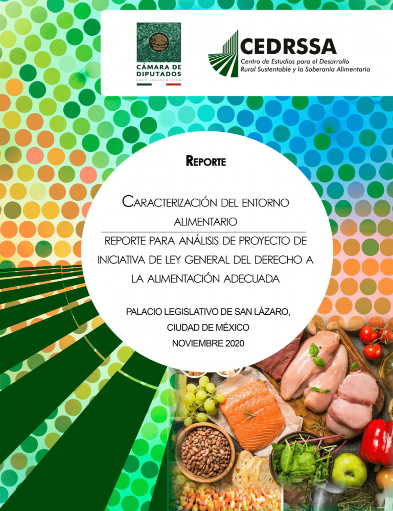 Caracterización del entorno alimentario en México. Reporte para analisis de proyecto de iniciativa de Ley General Del Derecho a La Alimentación Adecuada en México.