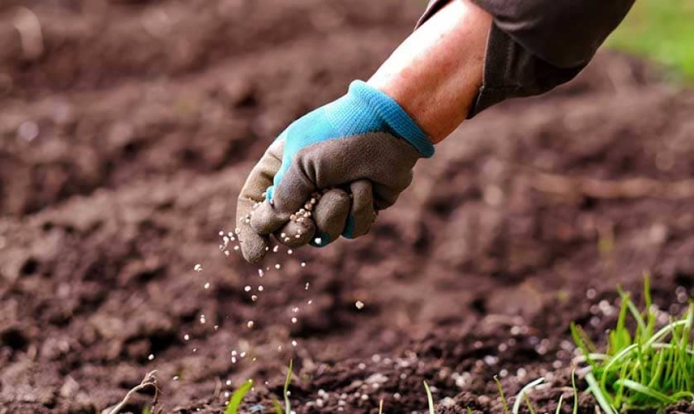 Los precios de los fertilizantes disminuyen, pero persisten los problemas de asequibilidad y disponibilidad