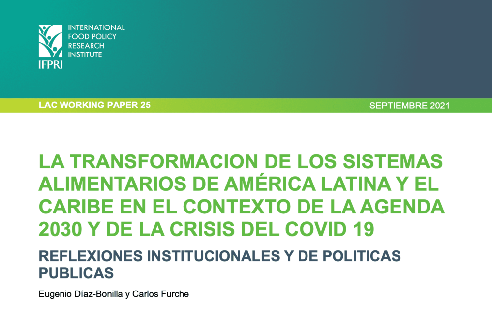 La transformación de los sistemas alimentarios de América Latina y el Caribe en el contexto de la agenda 2030 y de la crisis del COVID 19