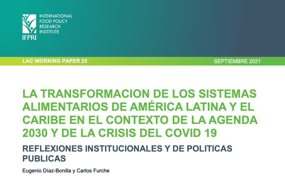 The transformation of food systems in Latin America and the Caribbean in the context of the 2030 agenda and the COVID 19 crisis.