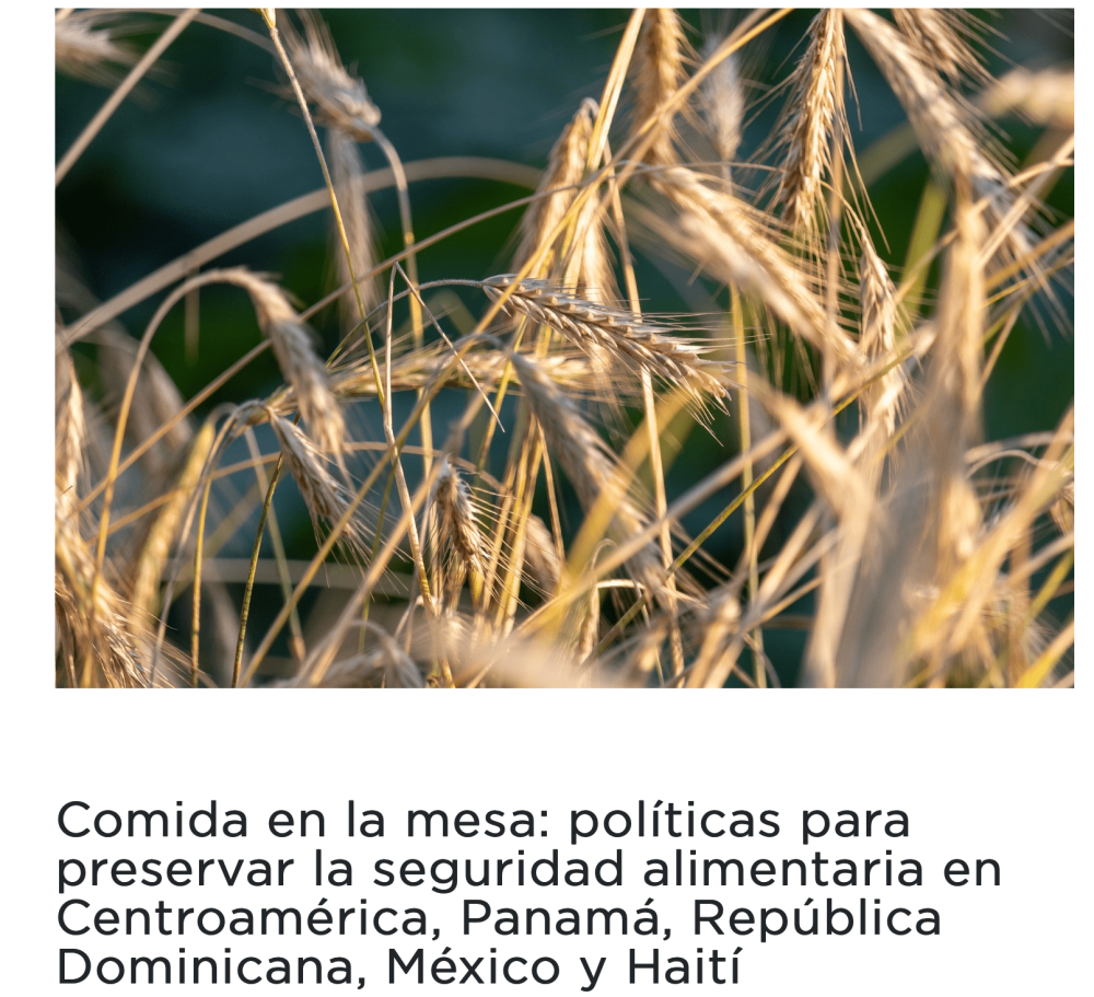 Food on the table: policies to preserve food security in Central America, Panama, Dominican Republic, Mexico and Haiti