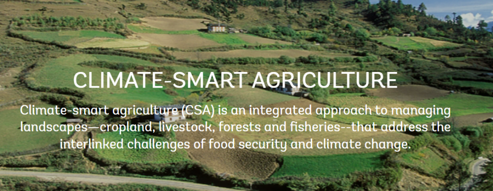 CLIMATE-SMART AGRICULTURE
