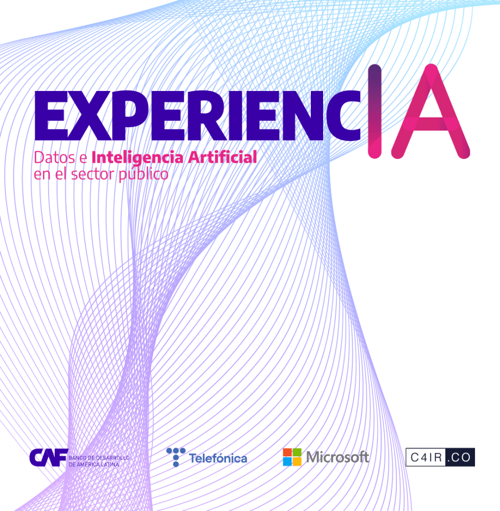 Experience: Data and Artificial Intelligence in the Public Sector