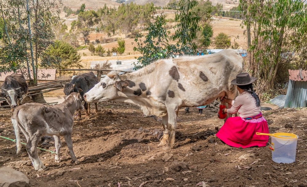 El derecho de hablar en Perú