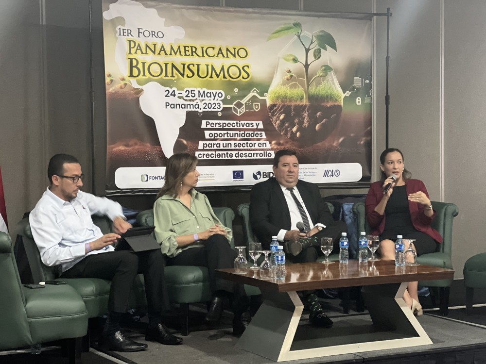 Panel 4. Financing: conditions for the development and competitiveness of bioinputs.