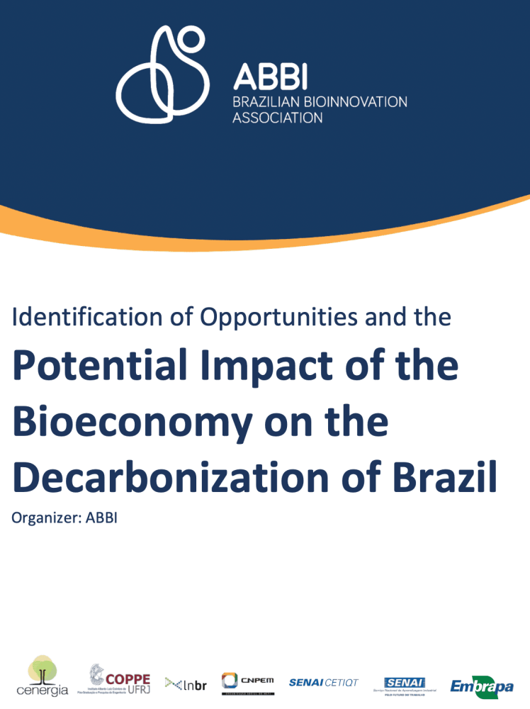 Identification of Opportunities and the Potential Impact of the Bioeconomy on the Decarbonization of Brazil