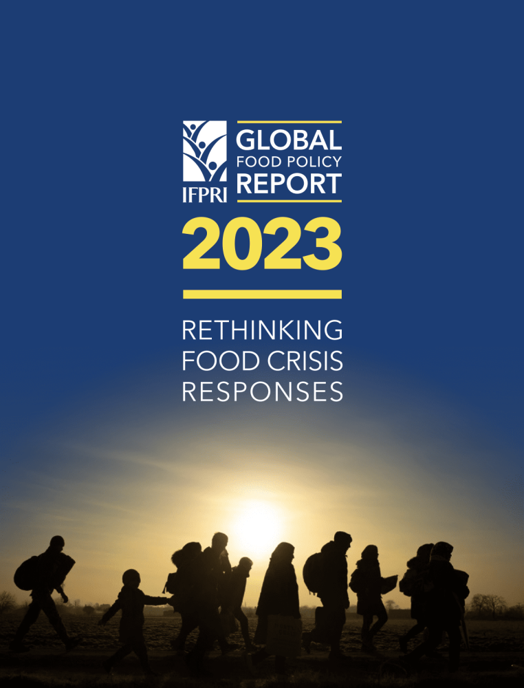 Rethinking Food Crisis Response