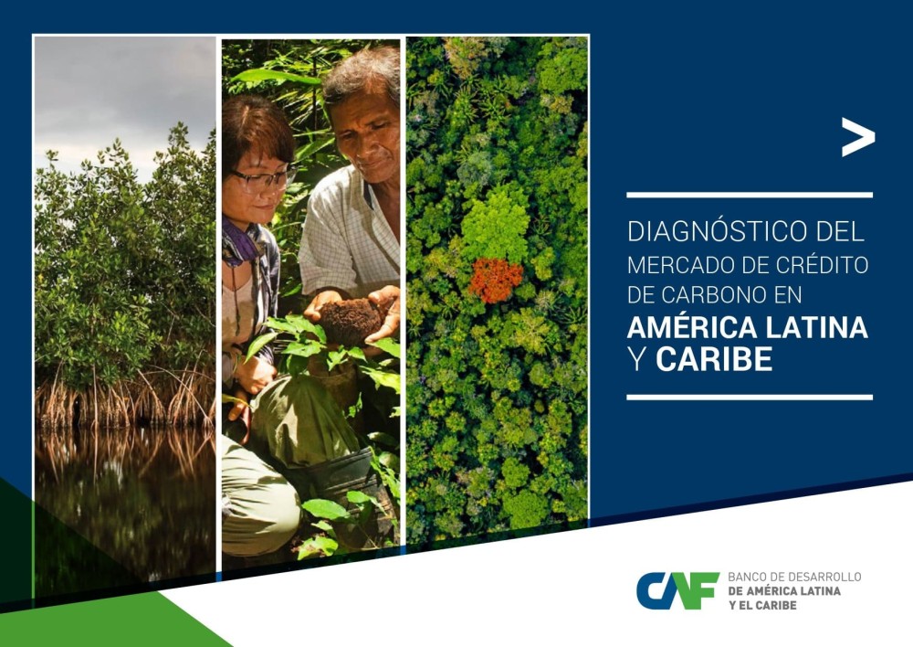 Diagnosis of the carbon credit market in Latin America and the Caribbean