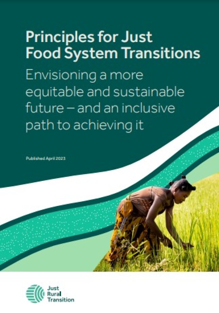 Principles for Just Food System Transitions