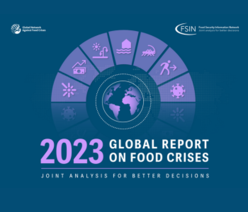 Informe mundial sobre la crisis alimentaria 2023