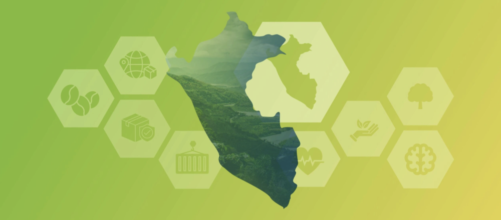 The great opportunity for Peru in the biobusiness of the Amazon