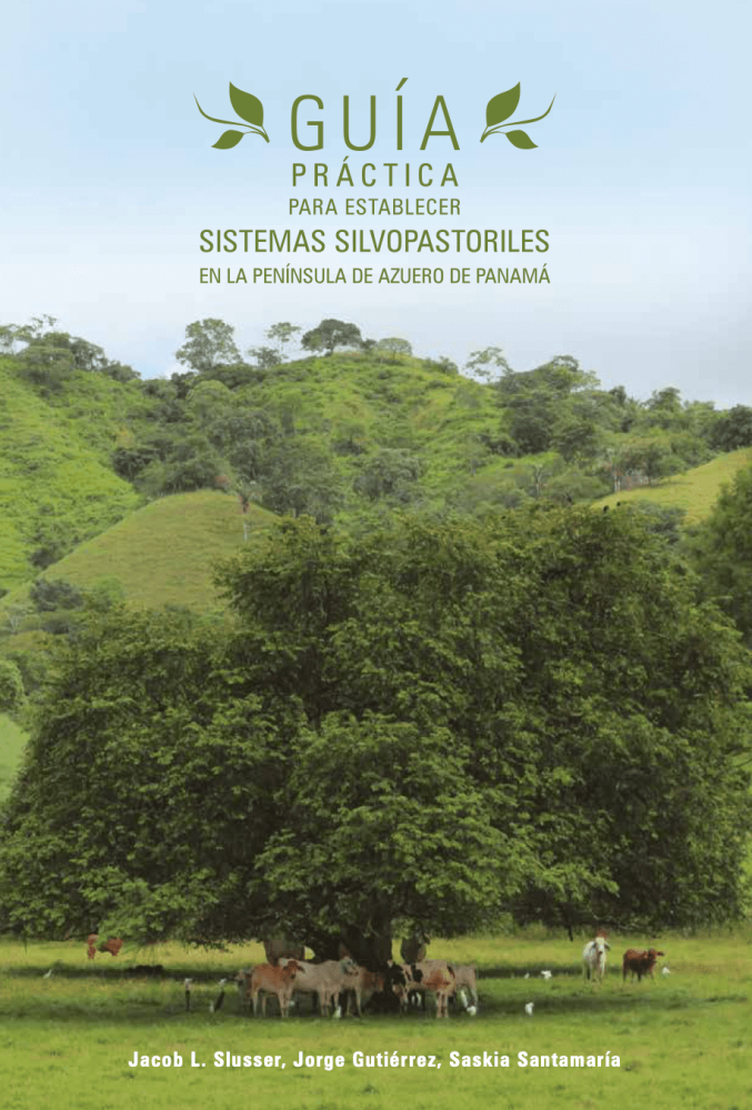 Practical Guide to Establish Silvopastoral Systems in the Azuero Peninsula of Panama