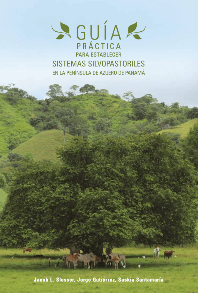 Guía Práctica para Establecer Sistemas Silvopastoriles en la Península de Azuero de Panamá