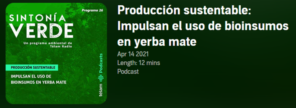 Podcast: Producción sustentable: Impulsan el uso de bioinsumos en yerba mate